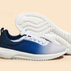 The Loungesters : Navy-White